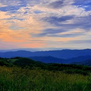 Meet your Posher, Jose